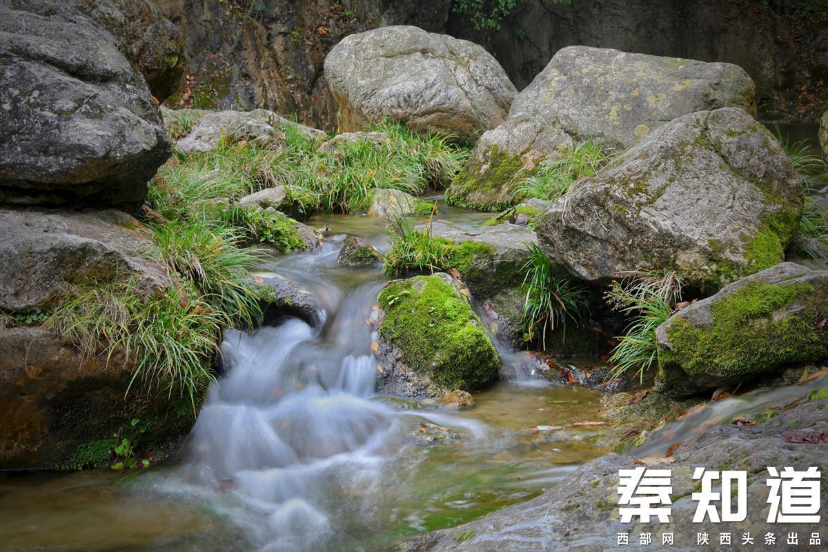 秦直道,秦知道小说