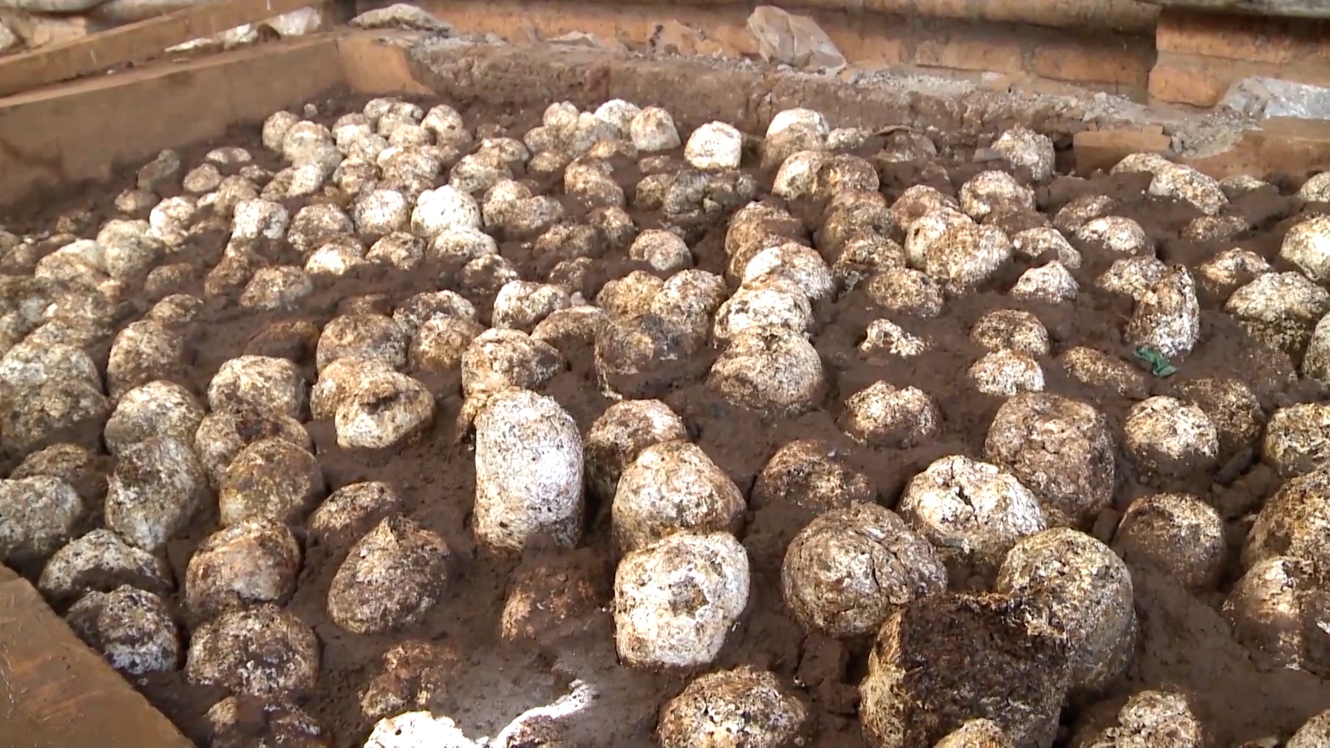 幸福草创作作品,幸福草科技集团有限公司