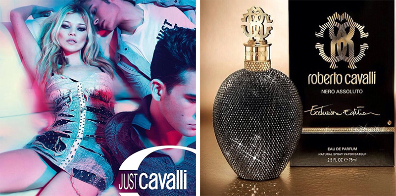 robertocavalli2017春夏,robertocavalli2022秋季系列的代表作