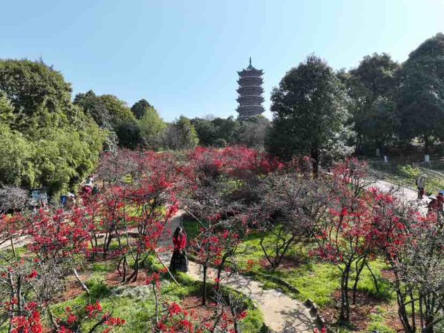 有一种云南的生活叫昆明,有一种云南生活叫西双版纳
