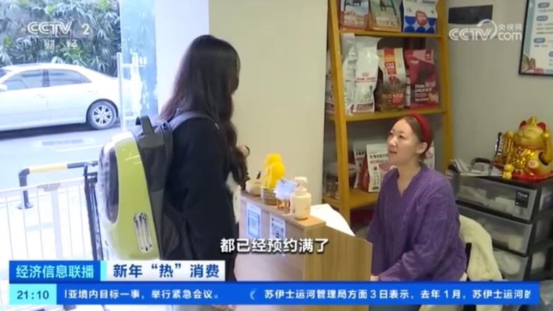 宠物寄养所的条件简直太奢华了,春节前宠物寄养火热一床难求