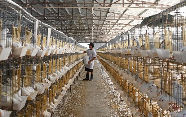 山东首位度占比,山东省排名第一产业