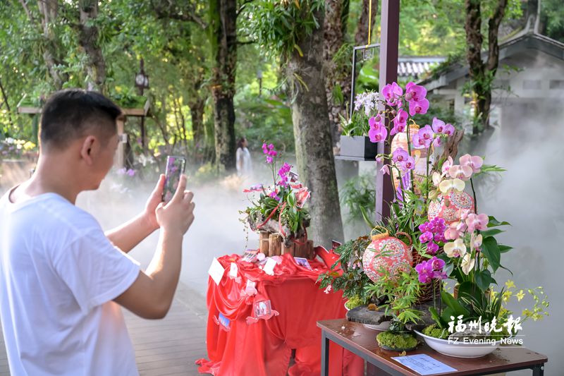 国庆旅游攻略游乐园怎么玩,国庆节游园游玩