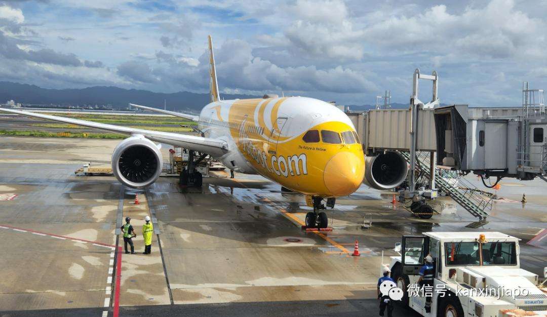 酷航直飞新加坡的城市,酷航4月中国直飞新加坡多少航班