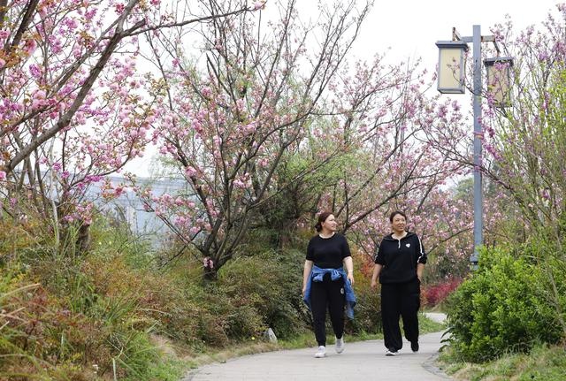 贵阳乌当有草坪的公园,贵阳市乌当区鲜花