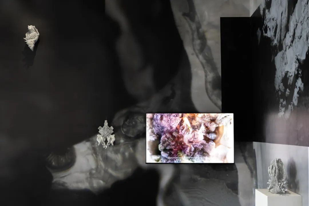 新当代的“离岸”探索，艺术的今日变革