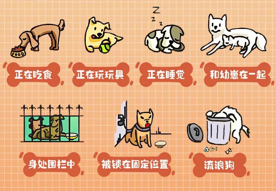 被狗咬住怎么自救,被狗咬住的最快方法