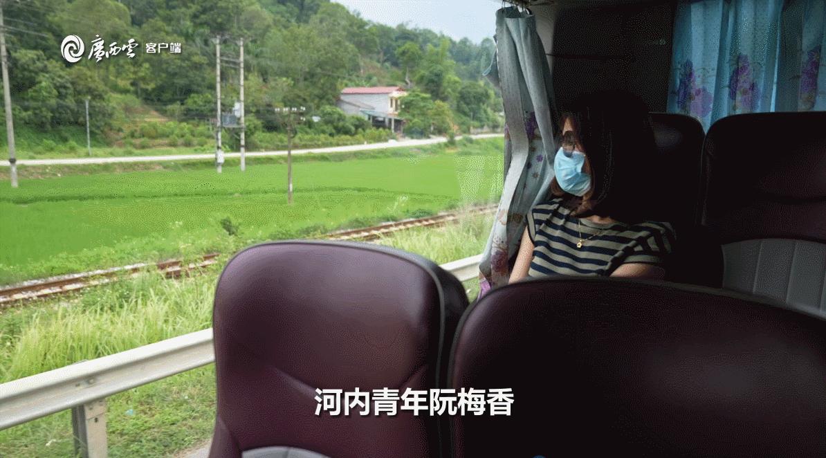 有料广西,南宁河内班车