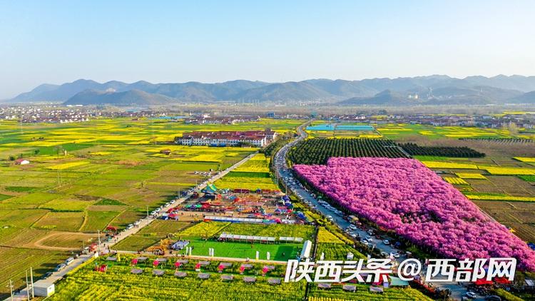 美丽乡村陕西勉县,推动勉县经济高质量发展