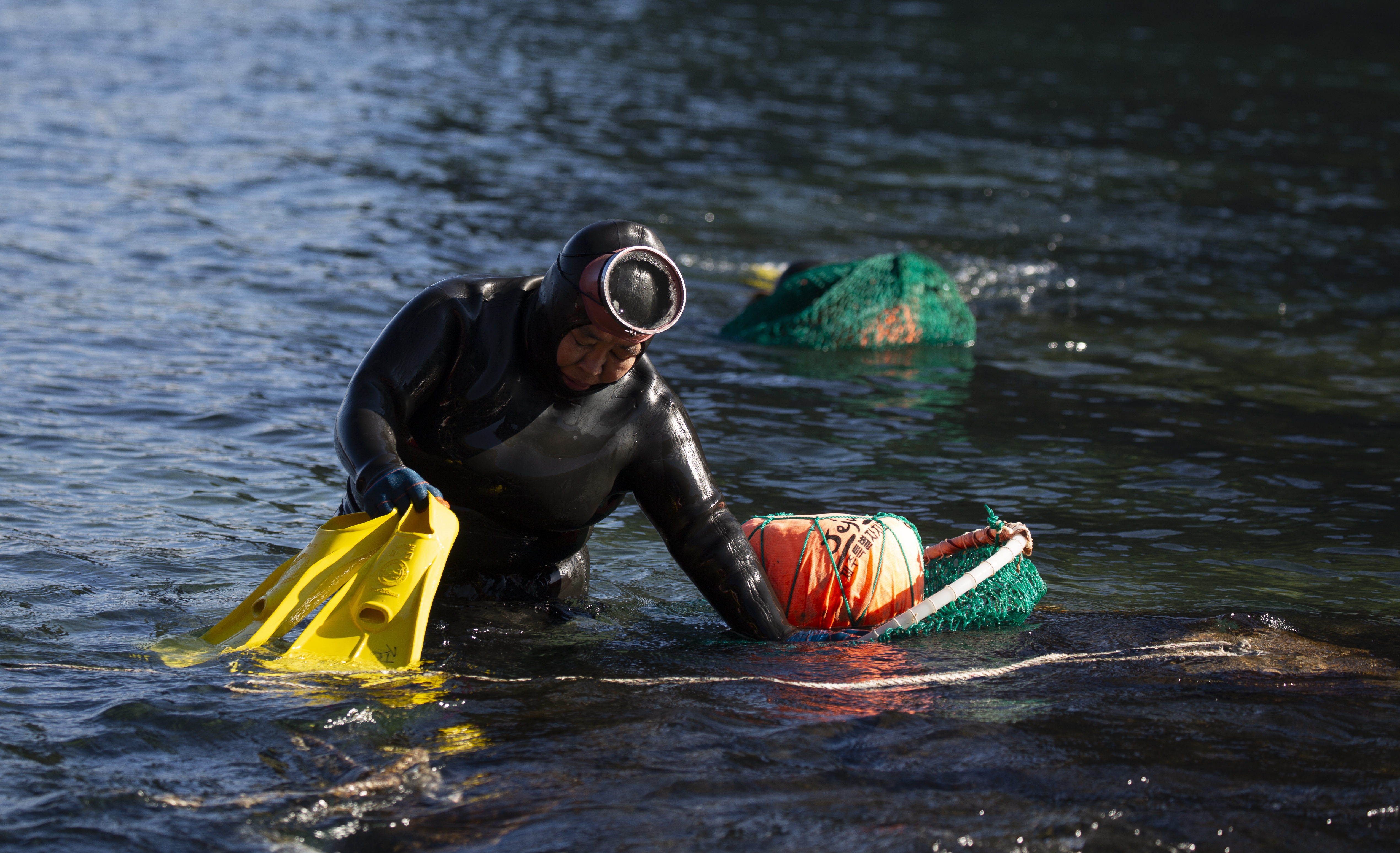 海女济州岛,济州岛中的海女