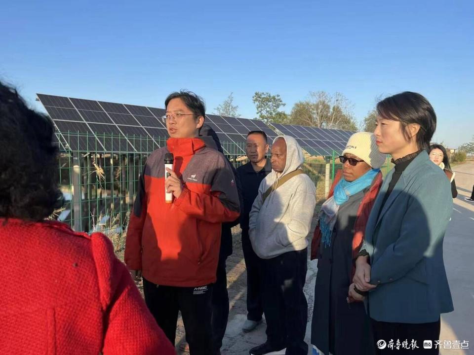 废弃坑塘变良田视频,废旧坑塘改造养鱼违法吗