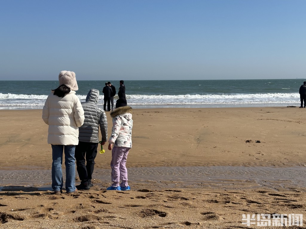 半岛调查,半岛调查最新视频