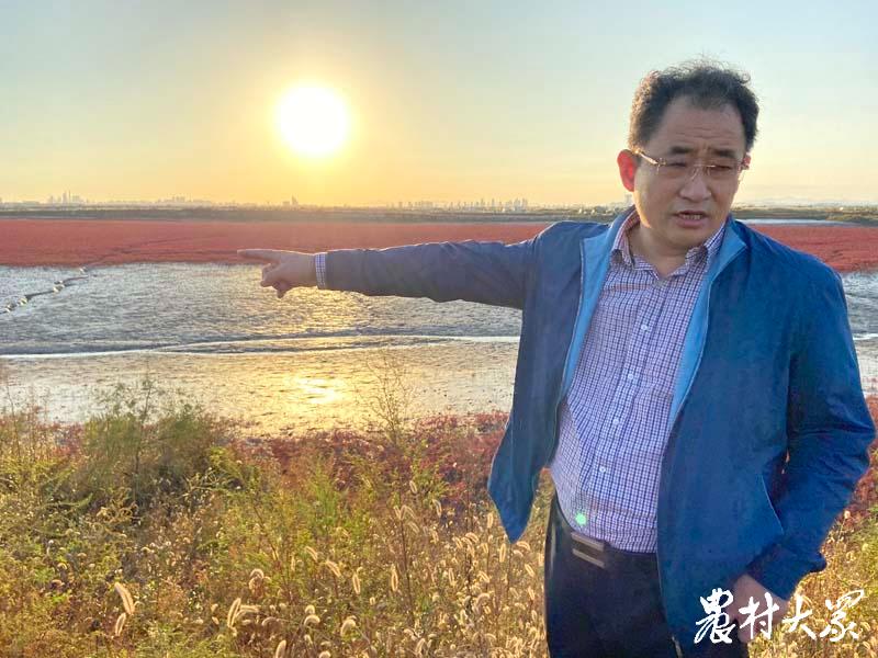 海洋生物捕获多少二氧化碳,海洋封存二氧化碳技术有哪些国家