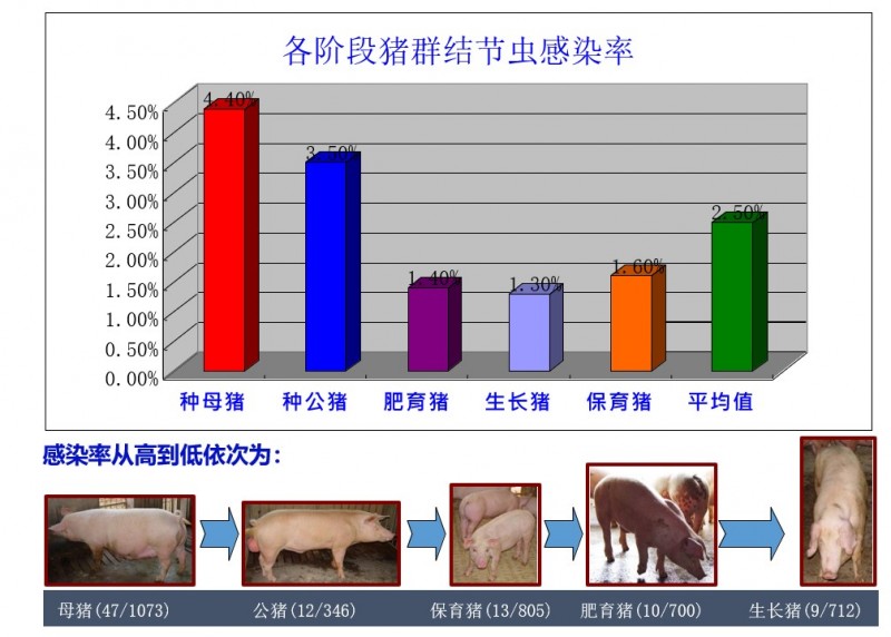 猪场降本增效的方法和措施,种猪猪场降本增效的方法和措施