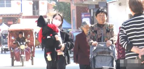 临颍县美丽乡村新样板,临颍县美丽乡村建设