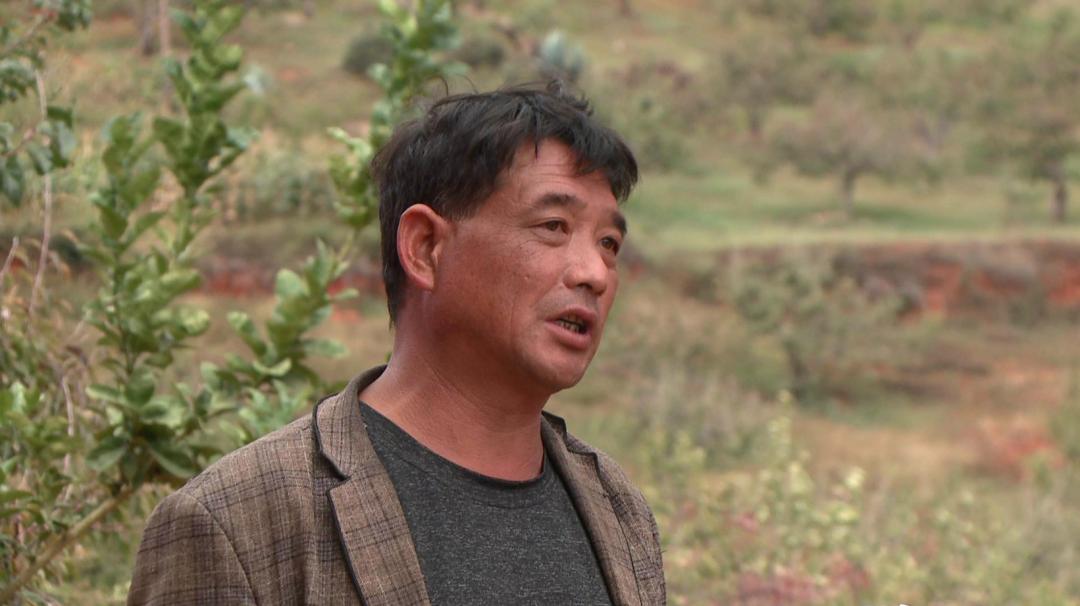 产值1亿元左右的农业企业,产值1亿的产业