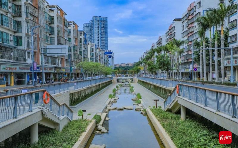 打造山水田园城市！光明区水务局获省级荣誉