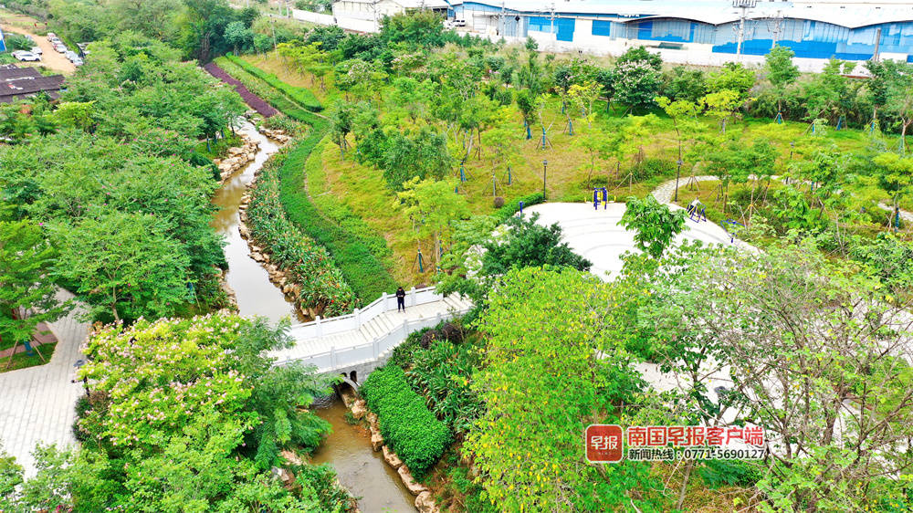 喜看家乡新变化四年级350字,喜看家乡新变化内容