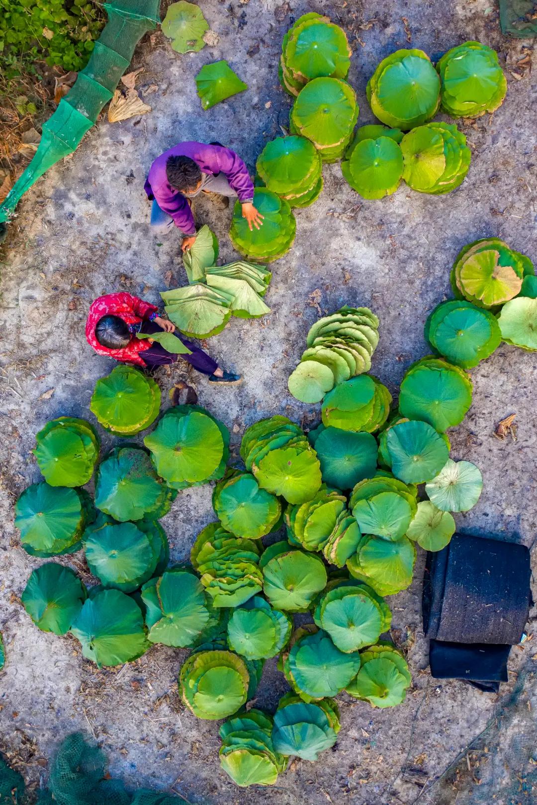 东拜孔子西上梁山,山东济宁曲阜拜孔子