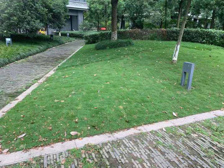 杭州居住最好的小区排名,杭州高品质小区有哪些