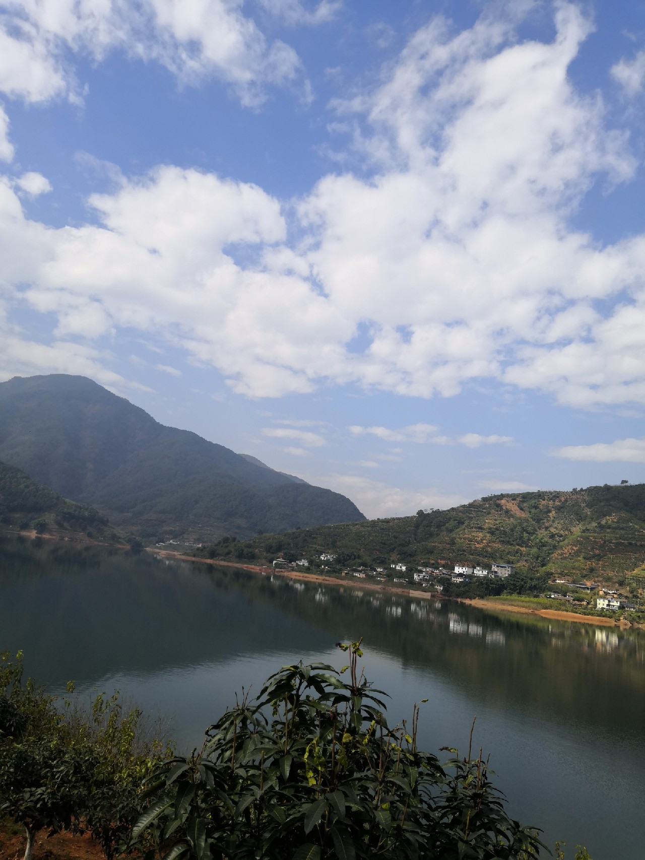 梅子姐这次选了没有打窝的钓位，渔获究竟如何呢