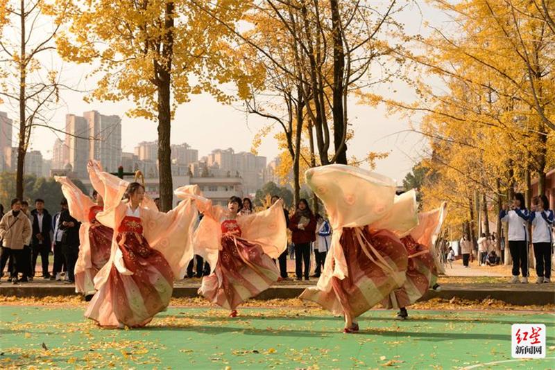 校园新力量2024,校园新力量2018