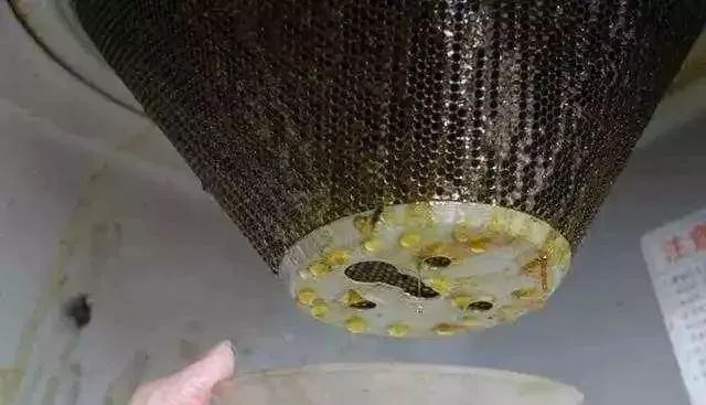 租房油烟机清洗全过程,出租房抽油烟机清洗小妙招