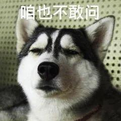 中国知网每年盈利多少,中国知网的收益归谁