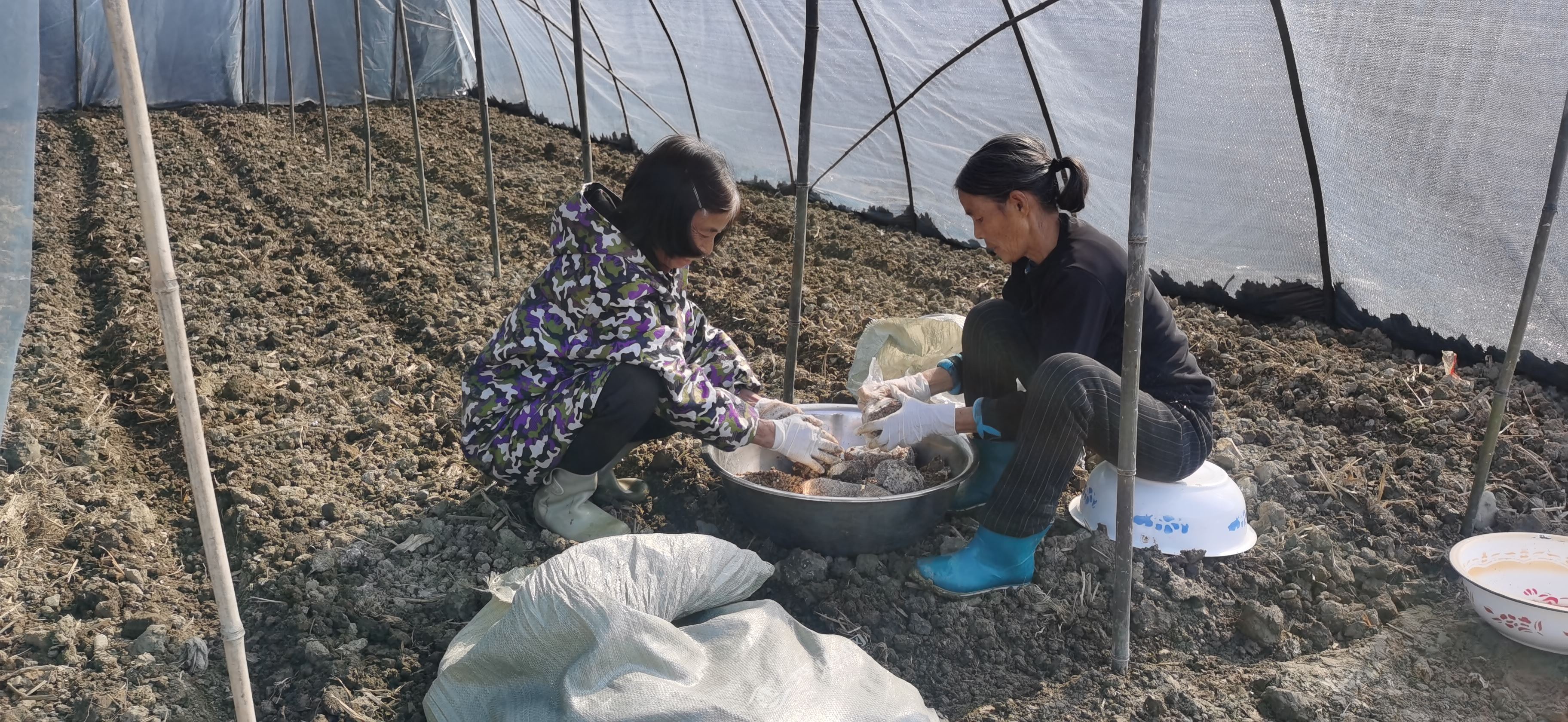 2025年巩固脱贫成果振兴乡村战略,脱贫成果巩固与乡村振兴有效衔接