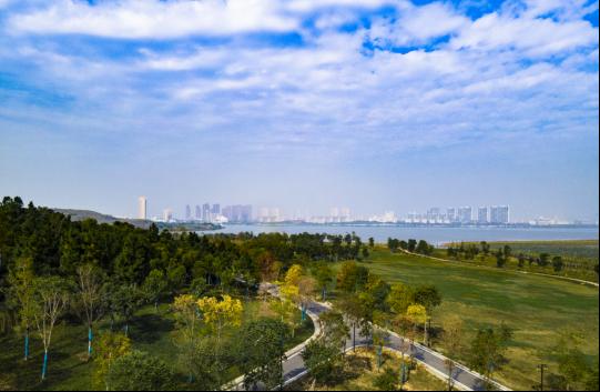 城芯红盘一期完美售罄,红盘解密为什么倍受追捧