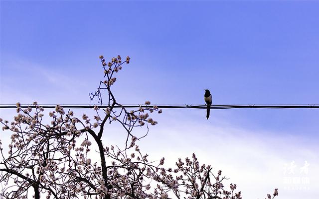 惊人的3分钟定律改变无数人,15分钟定律完整版