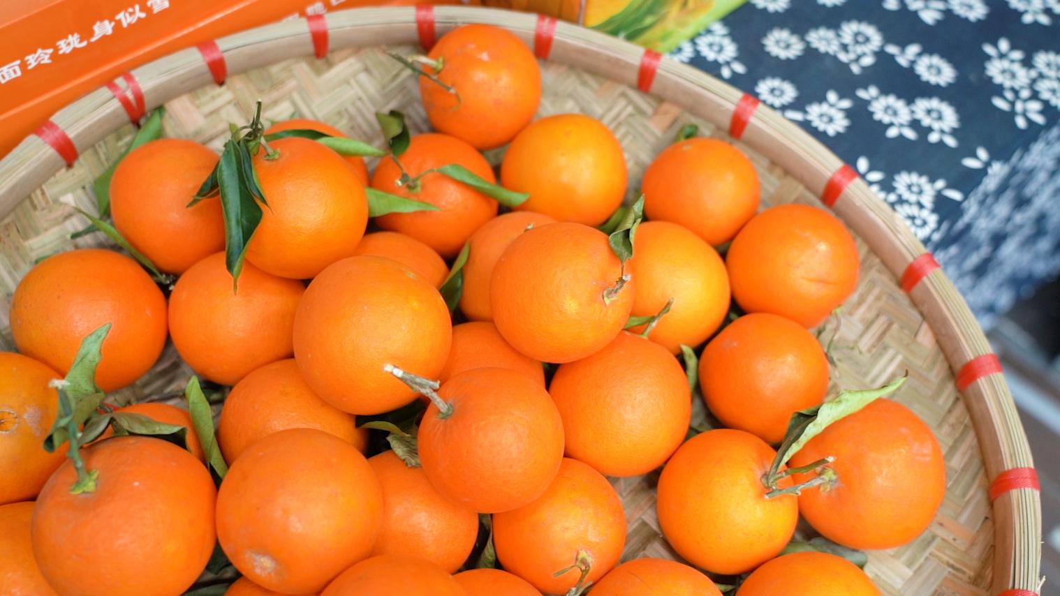 烤鱼界的扛把子来了,烤鱼界的天花板