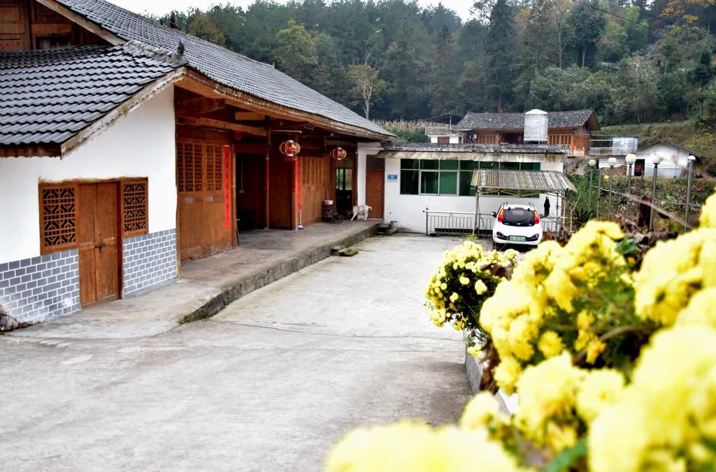 王晓磊军人,王晓磊简历