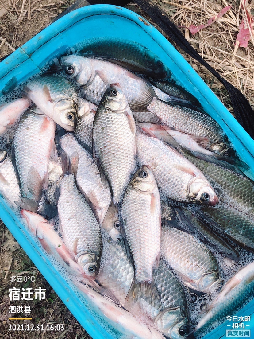 冰钓沉浸式体验,第一次体验冰钓视频