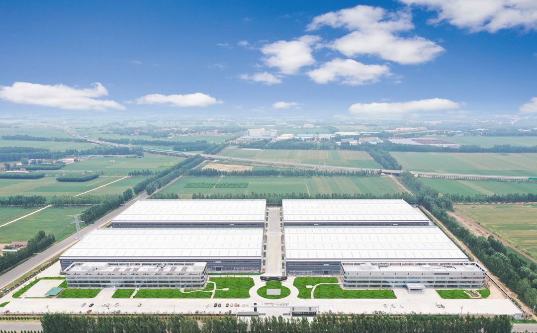 观摩手记之武城县:强产业,离不开久久为功