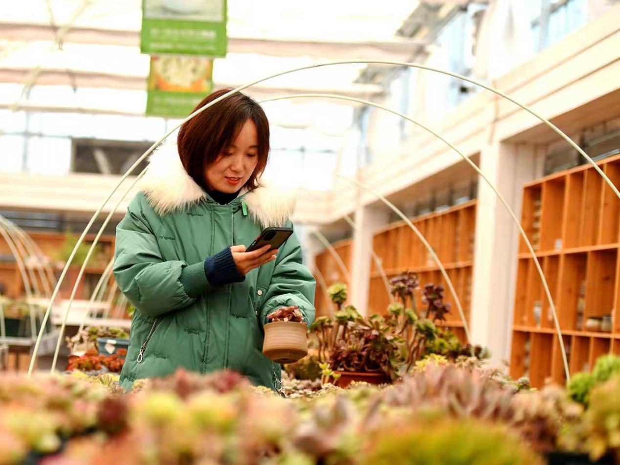 宿迁市对电商创业的支持,宿迁创新发展规划