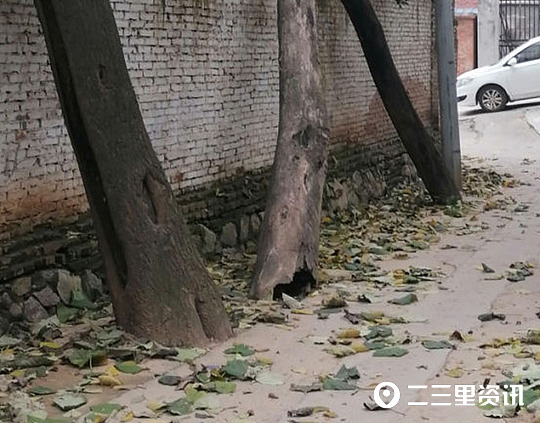 发电机组噪音扰民怎么办,发电机噪音分贝大属于扰民吗