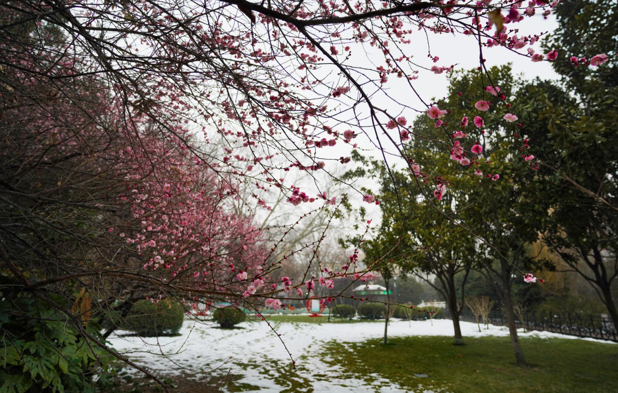 郑州多家公共文化场馆恢复开放,郑州文化场馆什么时候开放