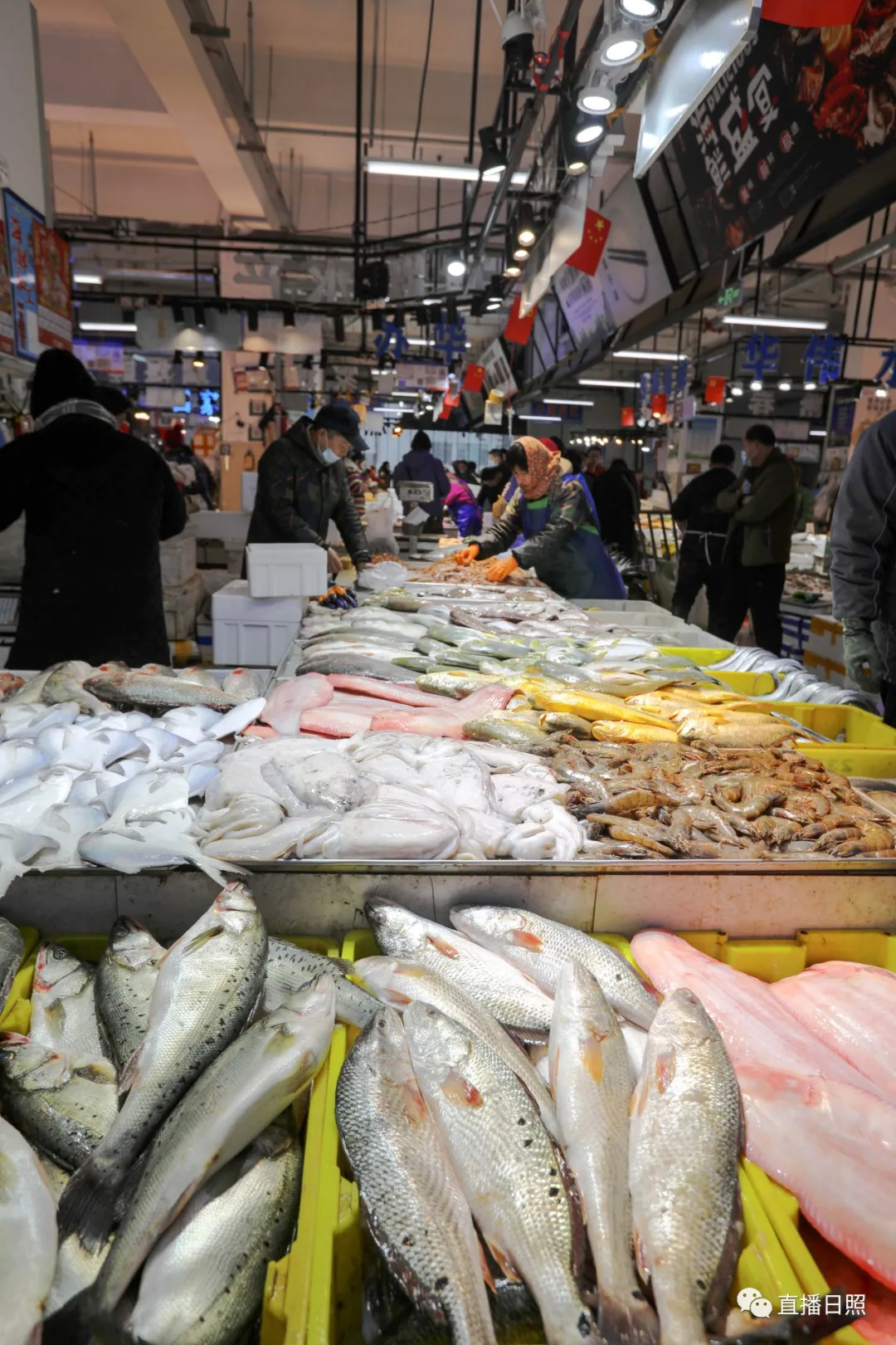 日照当季海鲜价格,今年春节海鲜多少钱一斤