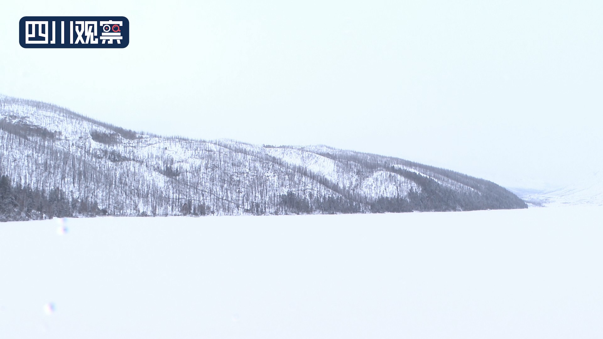 木格措门票19.9团购,5月19日木格措景区门票团购