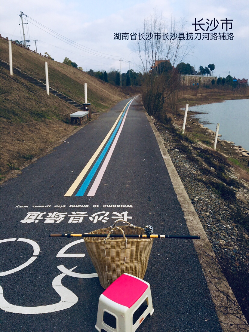 用老婆的菜篮子装新年的第一“金”
