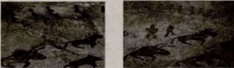 了解冬奥赛事项目,冬奥滑雪项目简介