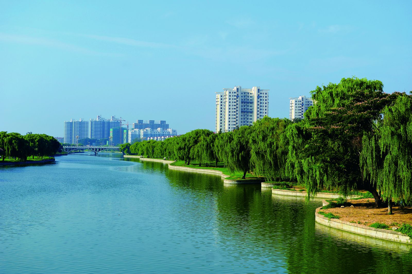 新实践新辉煌！诸城市各单位、龙头企业立目标定信心