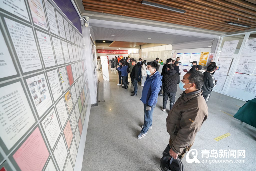 青岛城阳招聘直播,直播带岗再掀秋季人才交流热潮