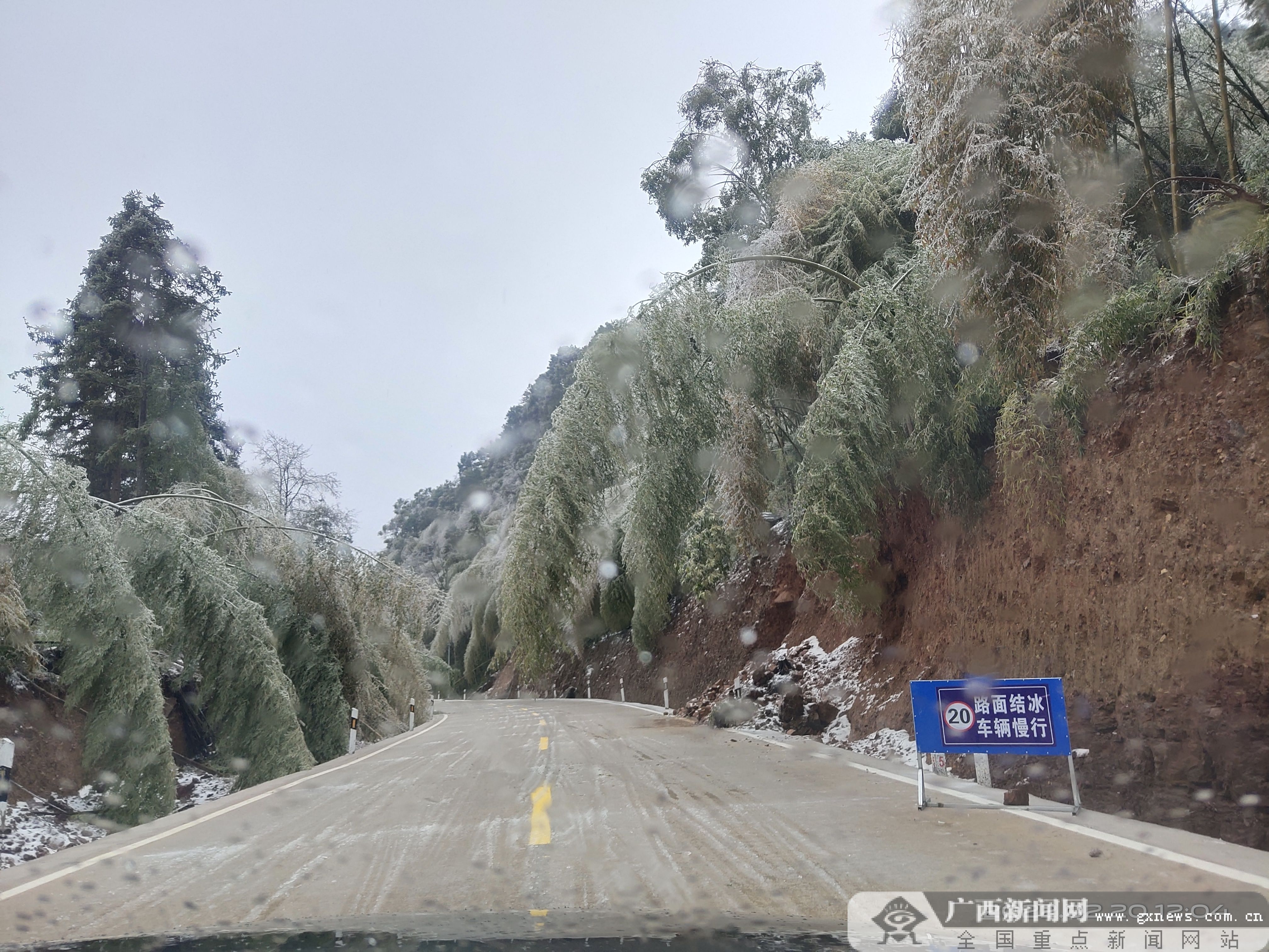 妗傛灄鎶楁椽鏁戞彺,妗傛灄鍏ㄥ窞鎶楁椽鎶㈤櫓