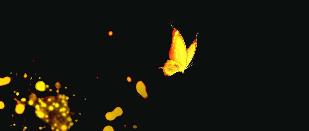 范晔读音,范晔古典吉他