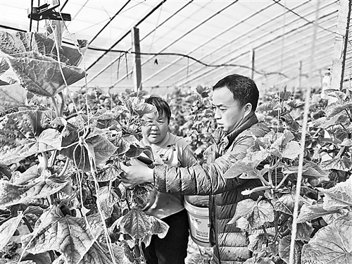 我市科技下乡助力春耕生产