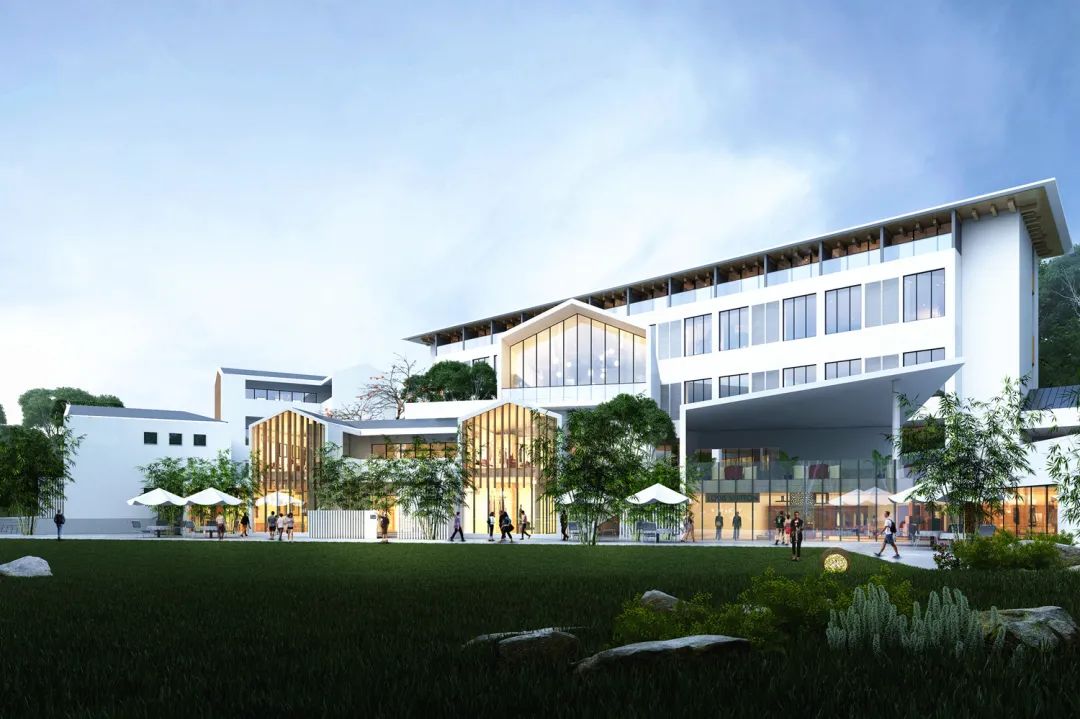 杨林兴简介,杨林兴主要贡献