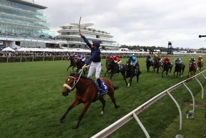 十大最强马匹排行,最新世界马匹排行榜8月