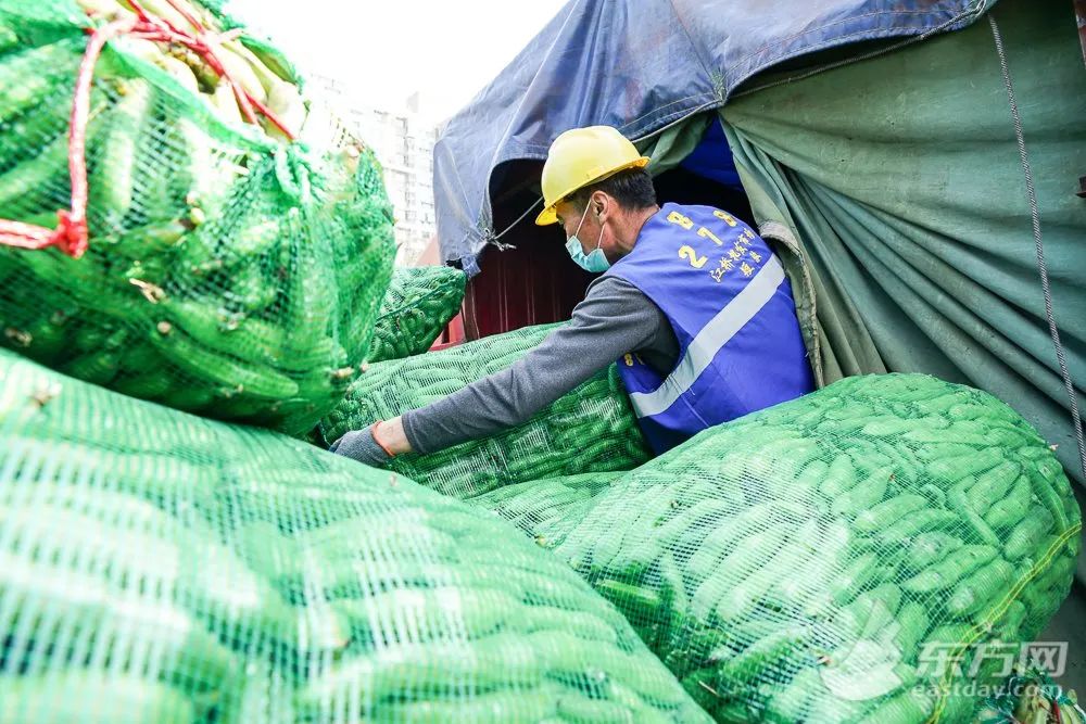上海江桥蔬菜批发市场有确诊的吗,上海江桥蔬菜批发市场小米椒价格